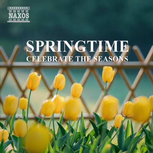 韩国女团赛玩具跳舞视频
